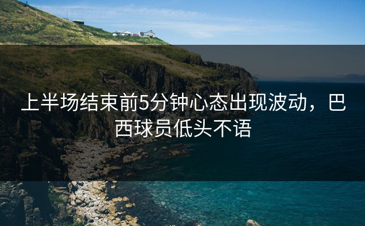 上半场结束前5分钟心态出现波动，巴西球员低头不语  第1张